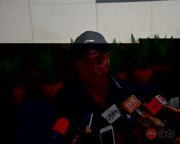 2013年世界羽毛球锦标赛